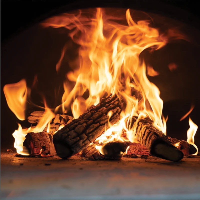 Legna dentro forno Pavesi professionale